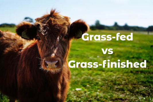 Grass-Fed and Grass-Finished Beef: Understand the Difference